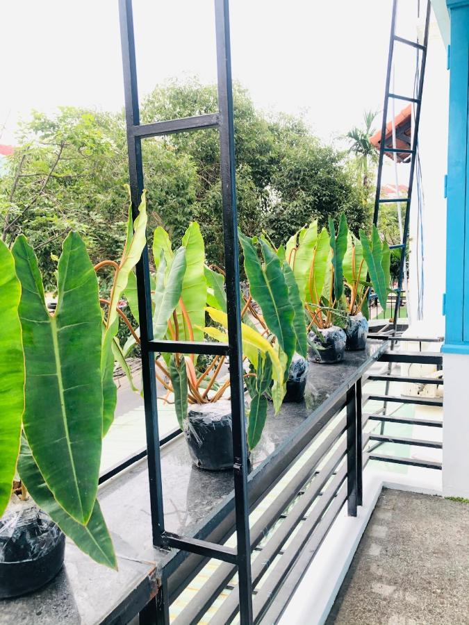 An'S Family Homestay Hoi An - 5Mins Walk To Hoi An Ancient Town 외부 사진